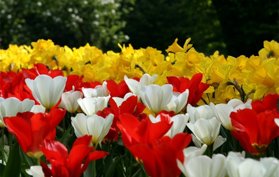 Giardini e Parchi Naturali