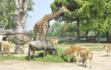 Parco Natura Viva