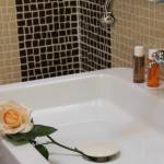 Hotel for business trips with rooms en-suite bathroom